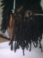 /album/pseudo-dreads/twister-jw-jpg/